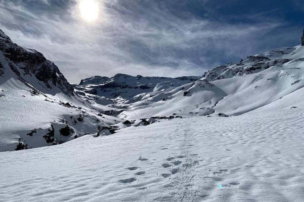 Piau-engaly Au Pied Des Pistes